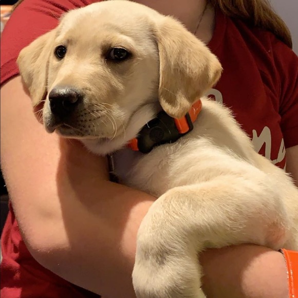 Meet your posher, Dai! - Picture 3 of 4